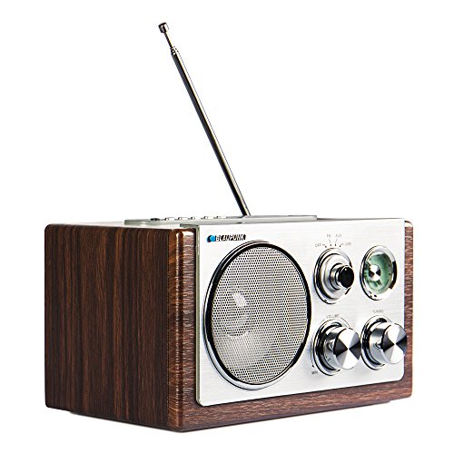 BLAUPUNKT RXN 19 Retro Design Radio (UKW/MW-Tuner, 3 Watt, USB 2.0)