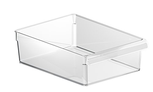 Rotho Loft Kühlschrank Organizer 5 L / Robuster Aufbewahrungsbehälter für Salat, Gemüse, Fleisch / Transparent / 1x (31 x 22 x 9 cm)