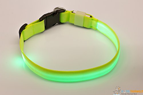 Rutis Tierwelt LED Leuchthalsband Basic 1 per USB aufladbar, Größe L, Grün